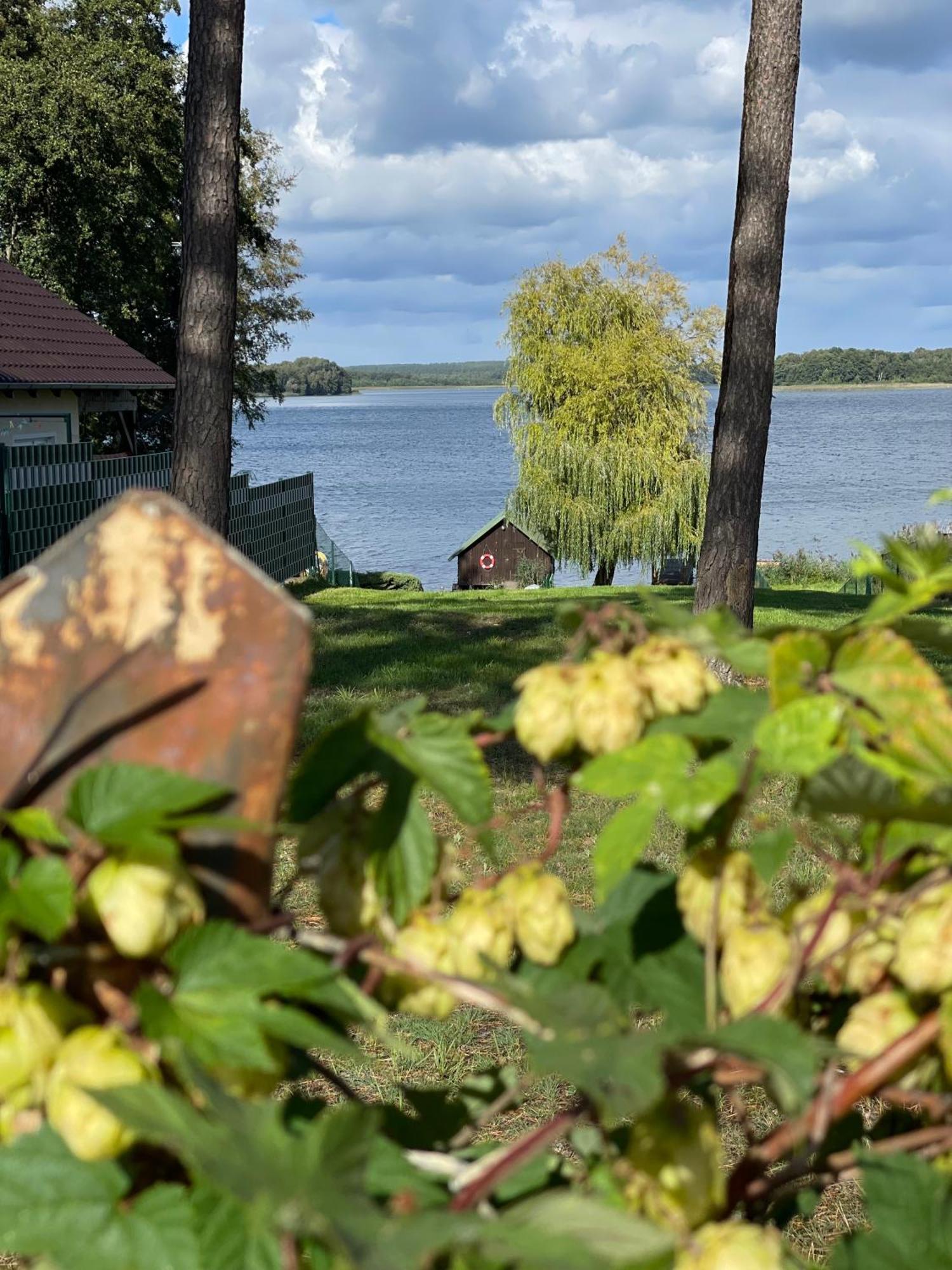 Urlaub Am Plaetlinsee - Haus Odin Wustrow (Mecklenburg-Strelitz) Exterior foto