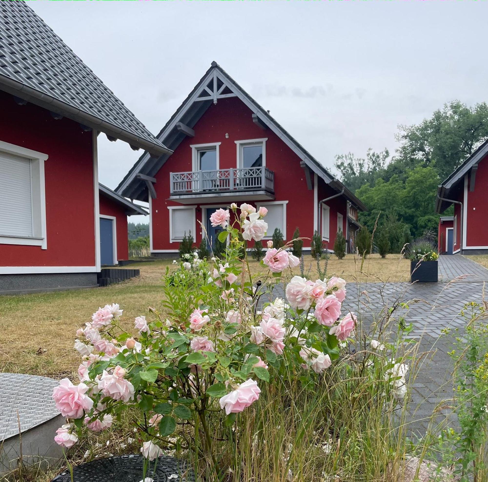 Urlaub Am Plaetlinsee - Haus Odin Wustrow (Mecklenburg-Strelitz) Exterior foto